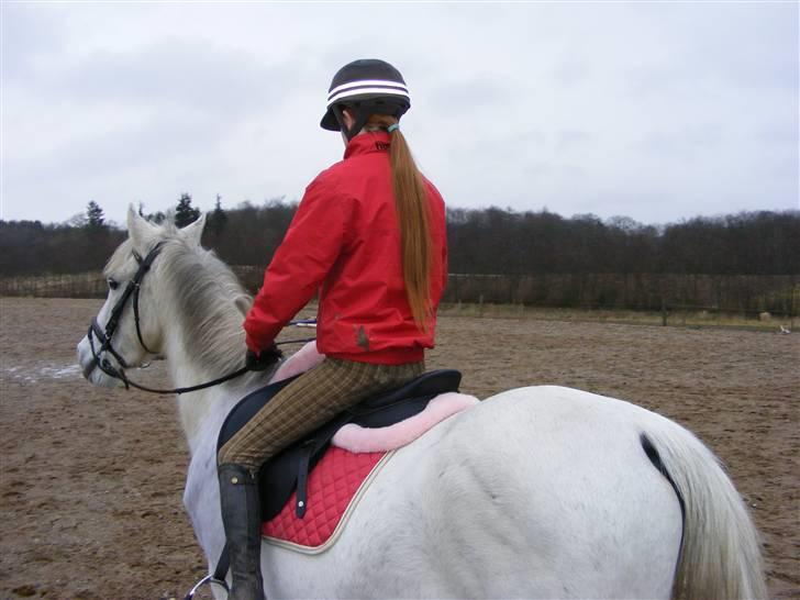 Anden særlig race Penelope *SOLGT* billede 13