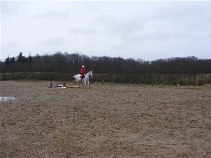 Anden særlig race Penelope *SOLGT* - *NYT* - mig og Penelope den 20. januar..     billede 15