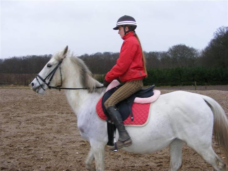 Anden særlig race Penelope *SOLGT* - *NYT* - mig og Penelope den 20. januar..     billede 17