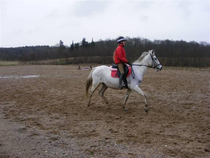Anden særlig race Penelope *SOLGT* - *NYT* - mig og Penelope den 20. januar..     billede 20