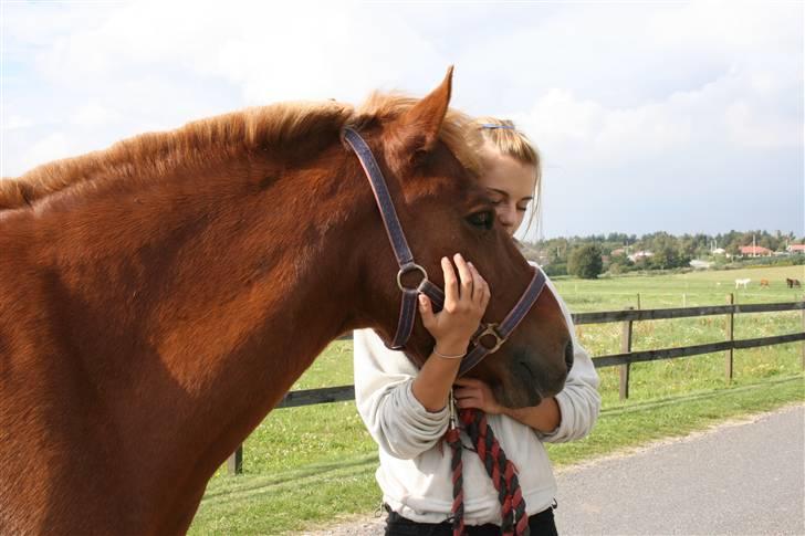 Anden særlig race Vestervangens Asterix - Det er det bedste at have dig i hverdagen :D. billede 10