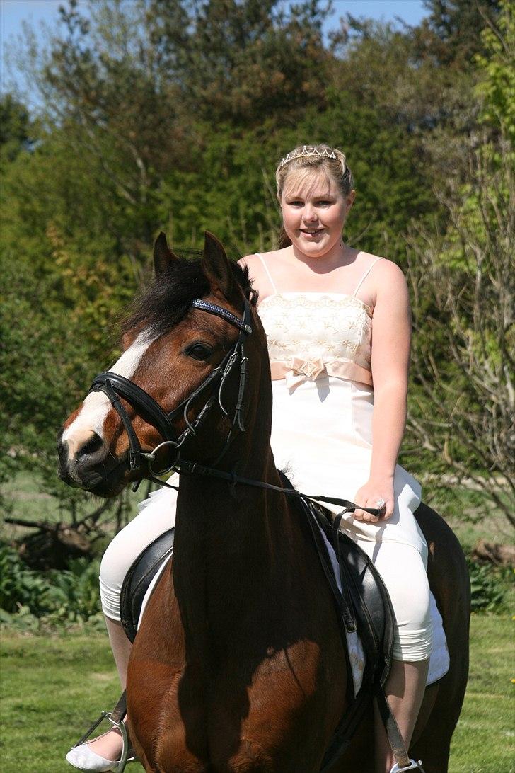 DSP Aavangs robin *RIP* - Verdens aller smukkeste og dejligste pony, til konfirmationen d. 1 Maj 2011 :) <33 elsker dig pony! Foto: Loden :) billede 3