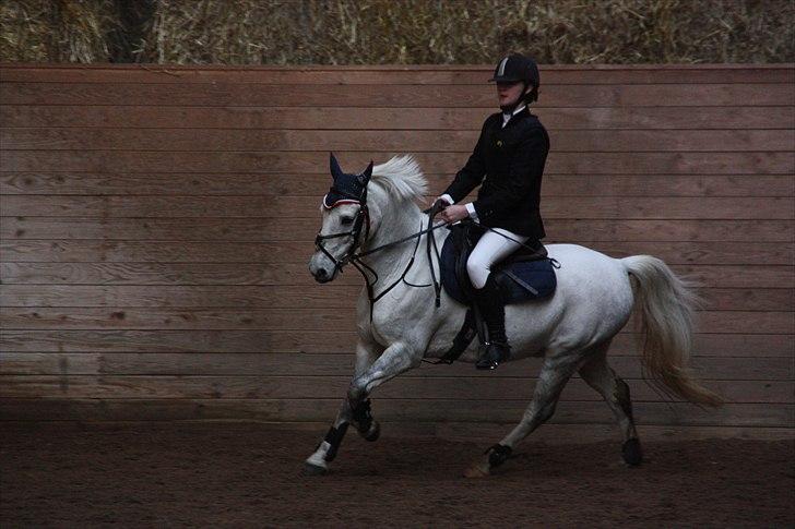 DSP Asgogårds Splint - Opvarmning til stævne.. billede 5