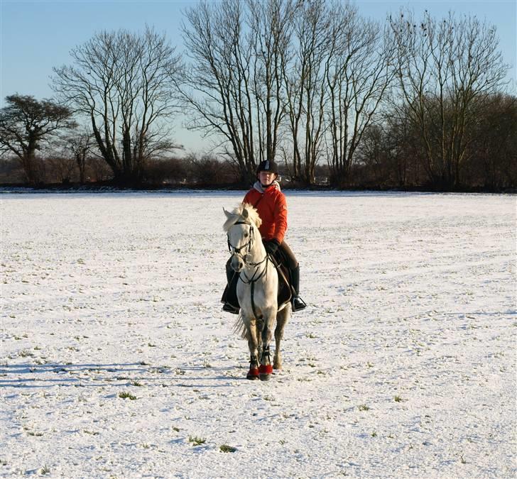 DSP Asgogårds Splint - På tur med Simone :D Hvidt i hvidt :b FOTO: Helle Krogh billede 6