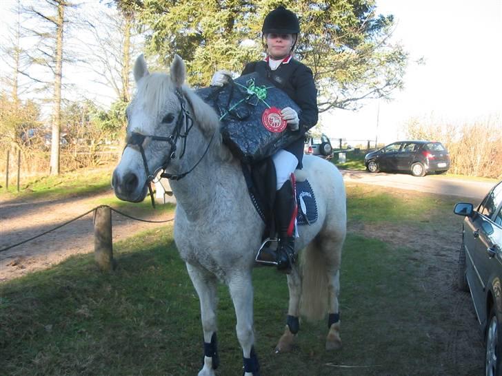 Anden særlig race Silver Boy -HVIL I FRED!  - Da jeg vandt min LB i HJR. 27/1-08 billede 9