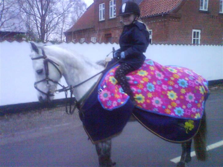 Hollandsk Sportspony Rainy Lake - Mathilde og Rainy, derhjemme..  billede 6