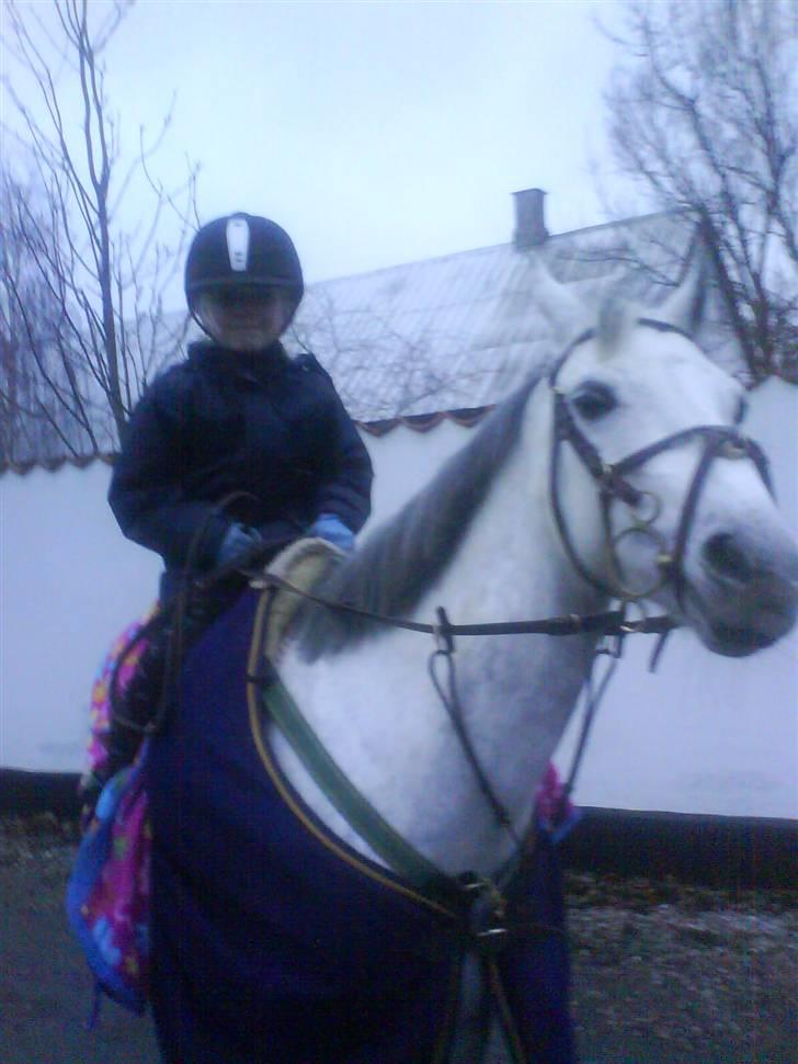 Hollandsk Sportspony Rainy Lake - Mathilde og Rainy, derhjemme..  billede 9