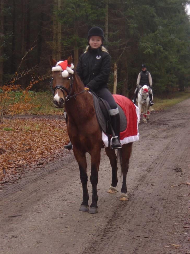 DSP Asprilla solgt billede 7