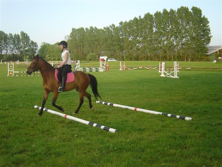 DSP Asprilla solgt billede 8