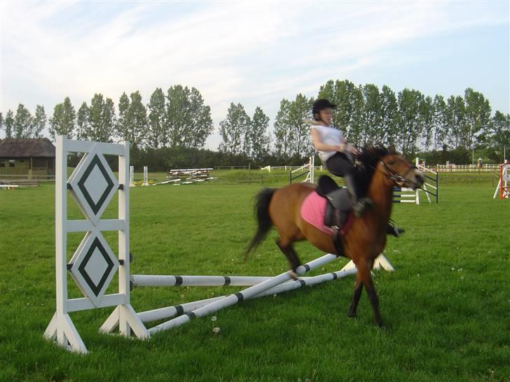 DSP Asprilla solgt - min lille søster der springer hun er ikke så god til at ride endnu men det er et godt grin xD billede 9