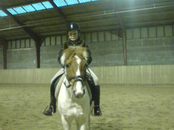 Pinto Tarzan - Mig og Tarzan billede 13