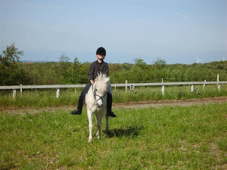 Anden særlig race Perle  - en ridetur uden sadel :D!!!! billede 10