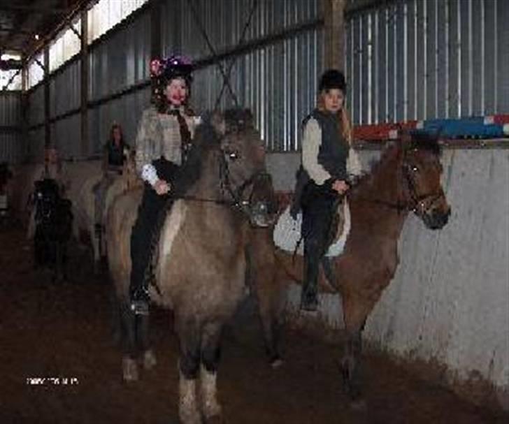 Anden særlig race Mc. Værdi <3 ! †R.I.P† - huni & macværdig<3  meed mig & mizz på ryggen<3 billede 5