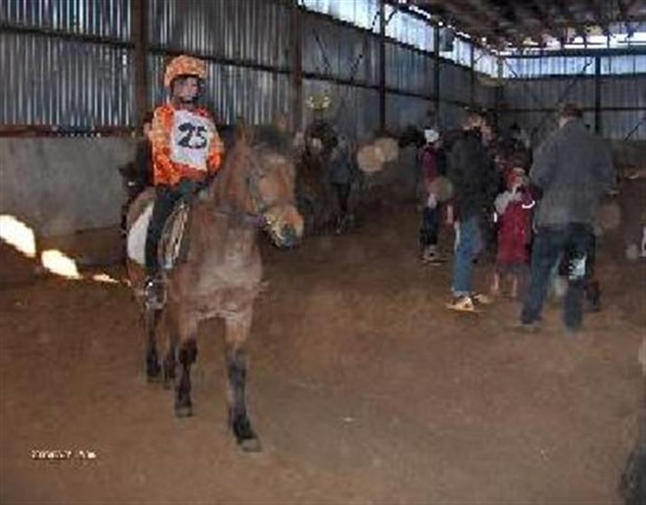 Anden særlig race Mc. Værdi <3 ! †R.I.P† - mille & mcværdig til fastalavn<3 hihi.. billede 6