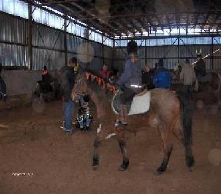 Anden særlig race Mc. Værdi <3 ! †R.I.P† - fine lille pruh<3 billede 7