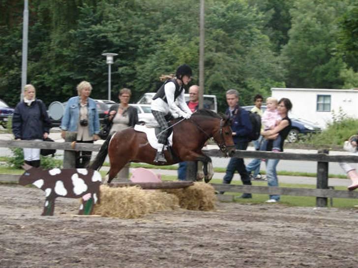 Anden særlig race pippi - til spring stævne <3  billede 18