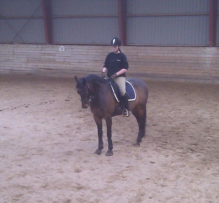 Traver Julius R.I.P :'( billede 18