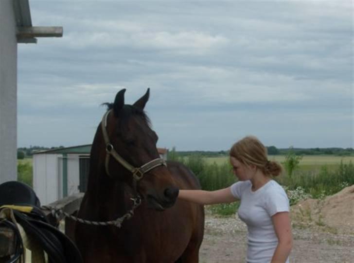 Traver Julius R.I.P :'( - vi bliver så fin ;) billede 19