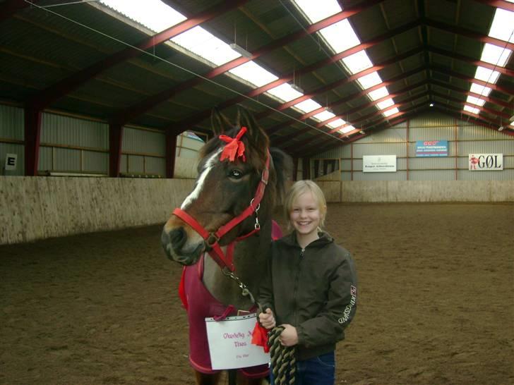 Anden særlig race Bruno Bjørn - Thea og Bruno billede 12
