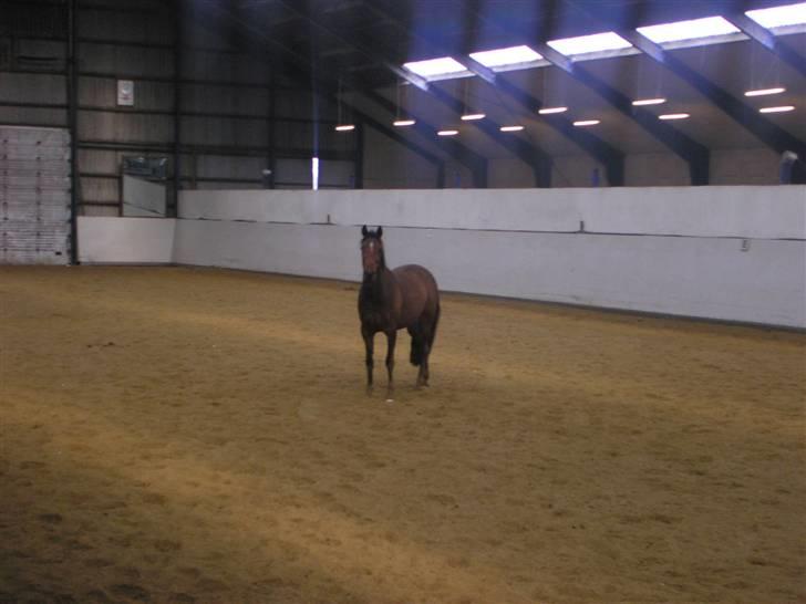 Traver Believe On Me !DØD! :'( - Nææ hvad laver du der oppe mor?? billede 8