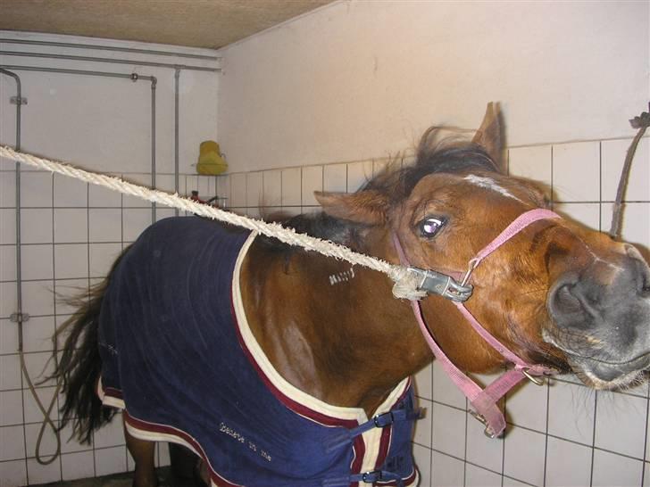 Traver Believe On Me !DØD! :'( - Uhhh det er så hårdt at være ude at springe:P hehe billede 9