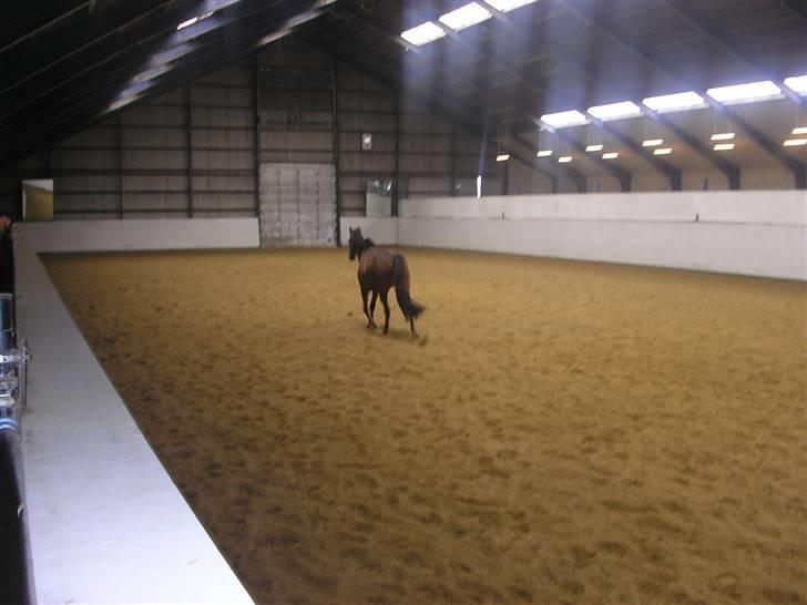 Traver Believe On Me !DØD! :'( - Nårh enden er god, er alting godt:D hehe billede 10