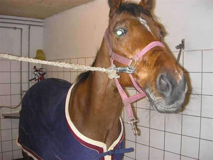 Traver Believe On Me !DØD! :'( - Jeg vil gnubbe moar.. Jeg er helt våd i hovedet... Be be billede 11