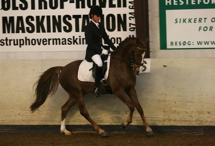 Anden særlig race Maccoy - galop i ringkøbing, 1. og 3. plads ;) billede 16