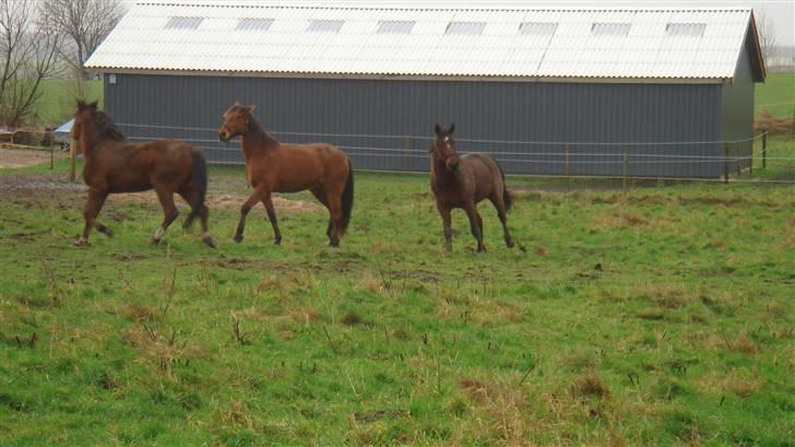 Traver Breaking the law R.I.P - Kan I så se at komme væk billede 7