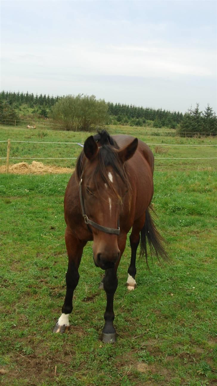 Traver Breaking the law R.I.P - Er jeg ikke fin?? billede 9