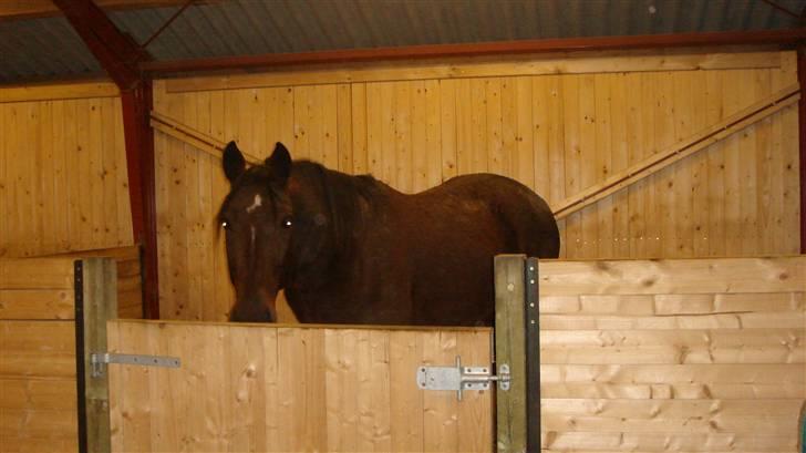 Traver Breaking the law R.I.P - MMMM der er godt her inde i min seng billede 10