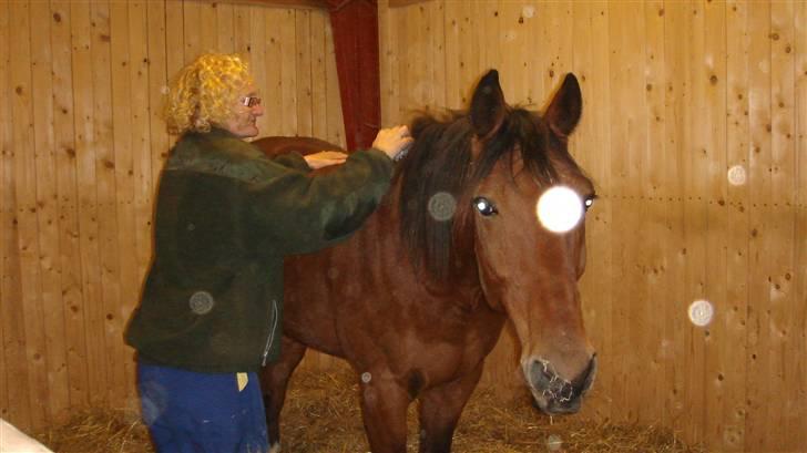 Traver Gacrux Date R.I.P - Hyggetime mellem min mor og Bette billede 13