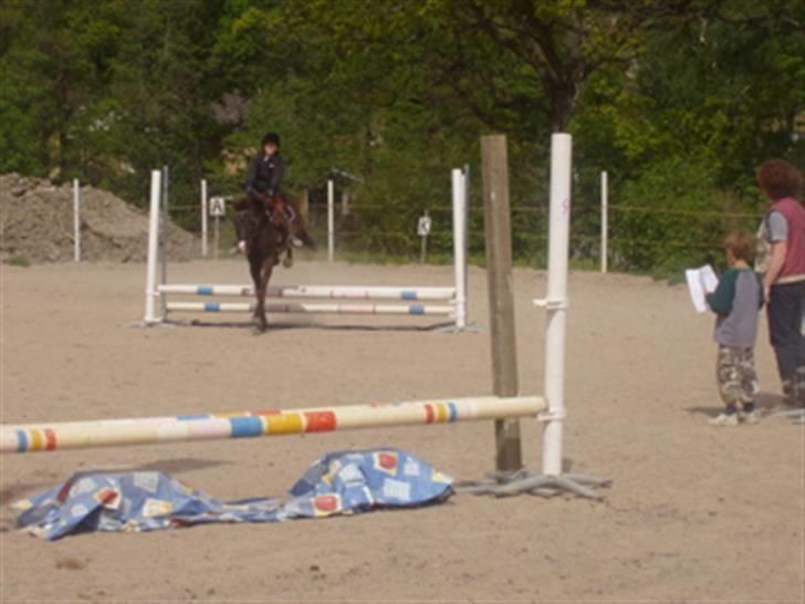 Anden særlig race Push Off billede 4