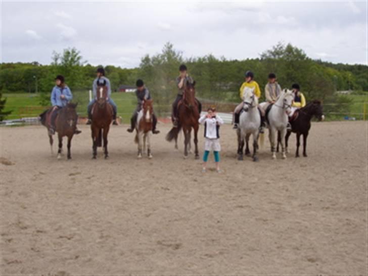 Anden særlig race Push Off billede 5