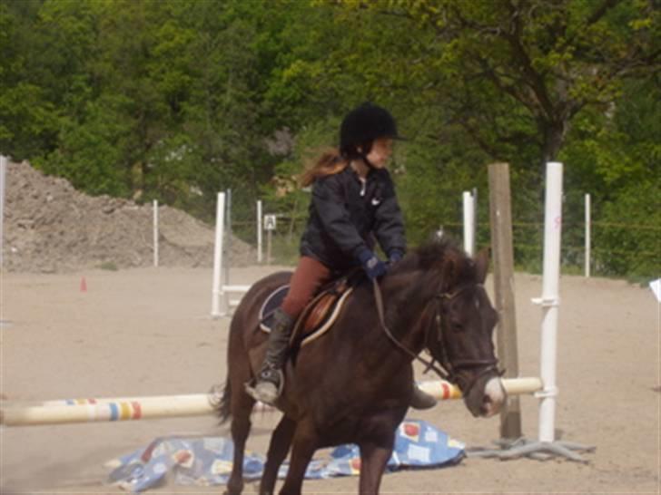 Anden særlig race Push Off billede 6