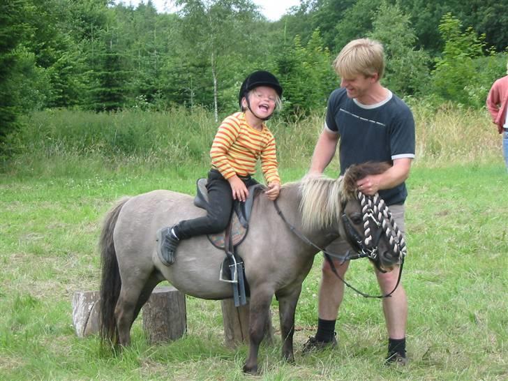 Shetlænder Kaipa - Sommeren 2005 ponygames på ridelejr billede 5