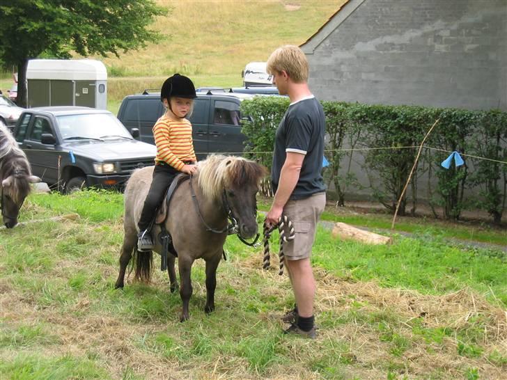 Shetlænder Kaipa - Sommeren 2005 på ridelejr billede 6