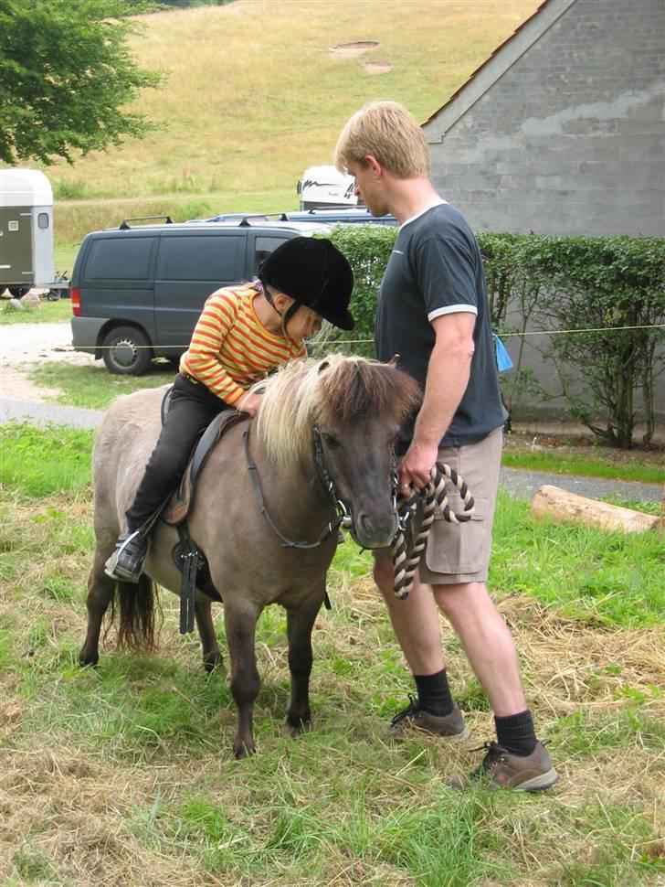 Shetlænder Kaipa - Sommeren 2005 på ridelejr billede 7