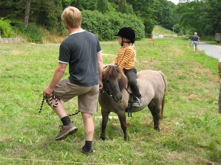 Shetlænder Kaipa - Sommeren 2005 ponygames på ridelejr billede 8