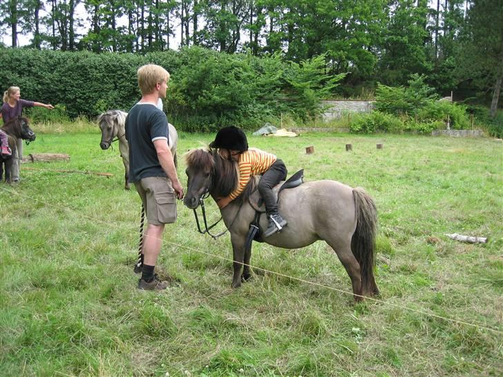 Shetlænder Kaipa - Sommeren 2005 ponygames på ridelejr billede 9