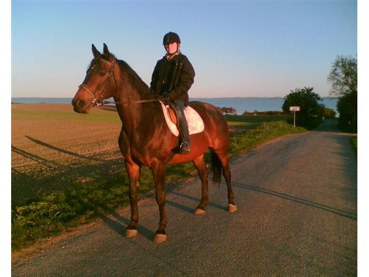 {{currentPhoto.altText}} billede {{currentPhoto.number}}