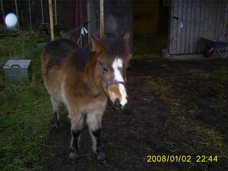 {{currentPhoto.altText}} billede {{currentPhoto.number}}