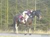 Oldenborg Bella