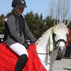 Anden særlig race Kondi