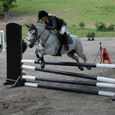 Anden særlig race Kondi