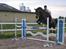 Oldenborg Blackie