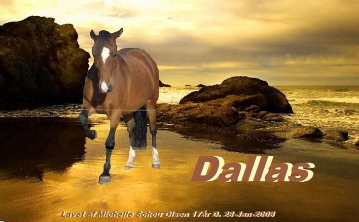 Connemara Dallas [ Himmel hest ] - Mit værk <3 billede 9