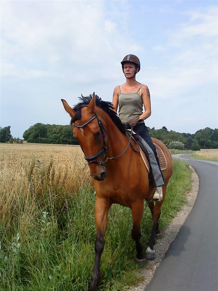 Dansk Varmblod Ranatha Girl - 2/8-09 billede 1