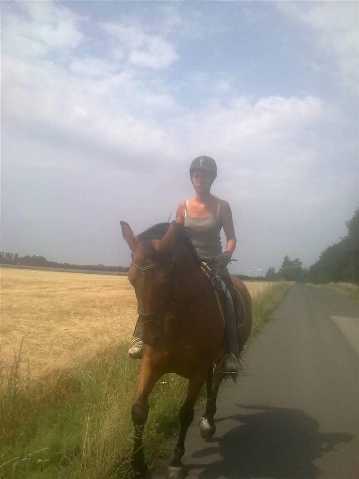 Dansk Varmblod Ranatha Girl - 2/8-09 billede 4