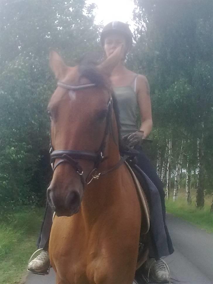 Dansk Varmblod Ranatha Girl - 2/8-09 billede 6